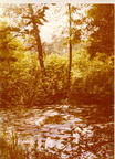 Wasserloch am schwarzen Weg, Wiesenumgehung